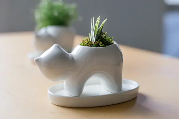 サムネイル： ねこの植木鉢(受け皿付)