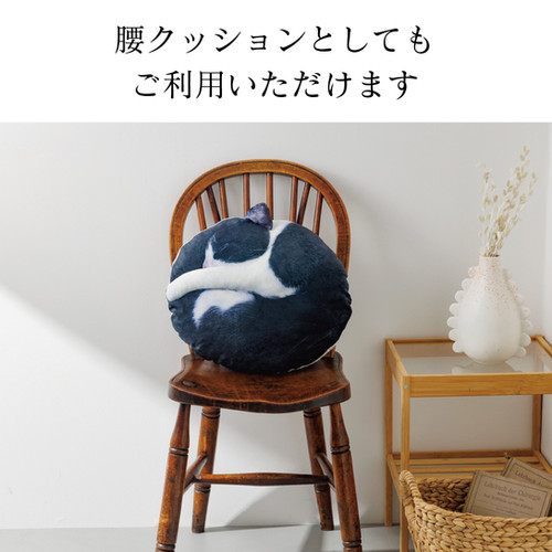 necomaru ねこカゴセット クッション　ハチワレ necomaru(ハチワレ)まるで猫なクッション | Poppen-Poppin