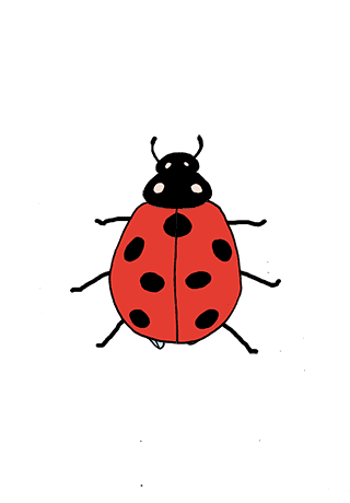 ladybird gif.gif