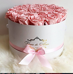 fleurs de muse_image.PNG