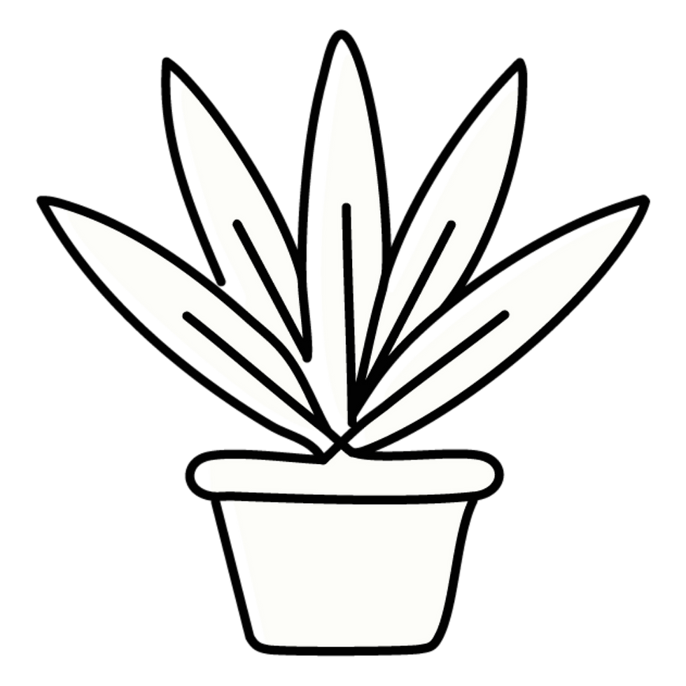 Cornwall Garden Services