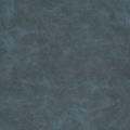 X705 Blueberry