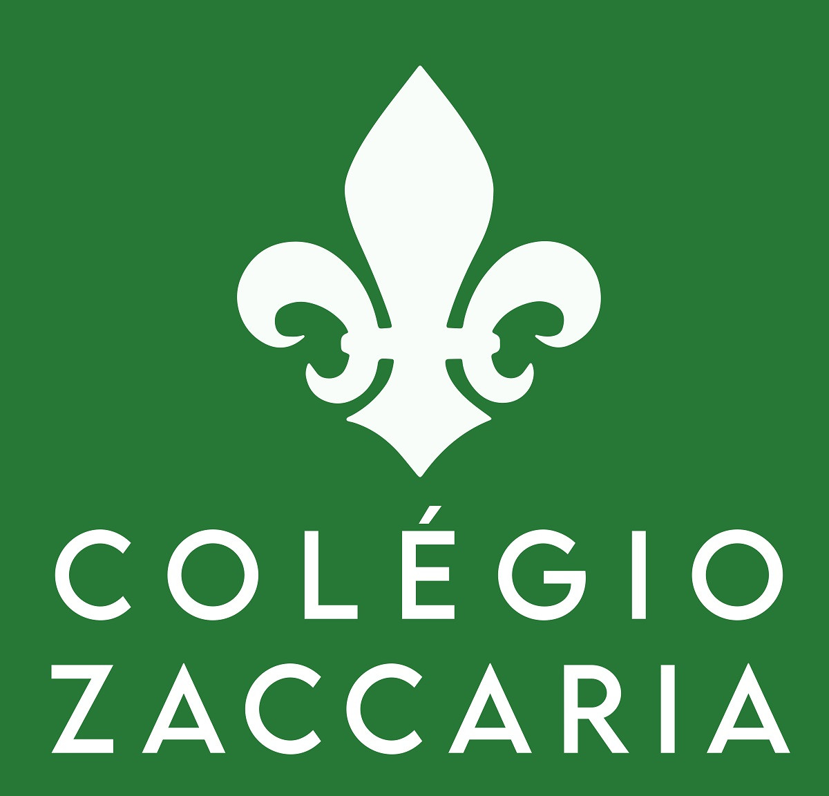 Conselho Escolar da Escola em R C Externato Santo Antonio Maria Zacarias