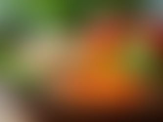 Effective Solutions for Chronic Fatigue Management