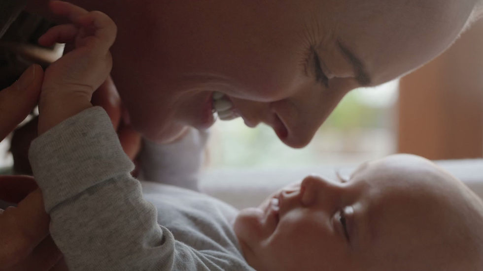 4984003_Adorable_Affection_1280x720.mp4