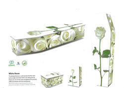 Coffin Skinner Family Funerals