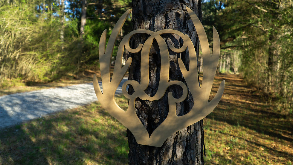 Thumbnail: Antler With Initial Sign