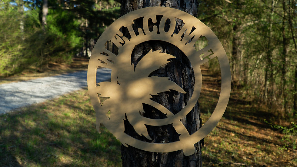 Thumbnail: Palm Tree Welcome Sign