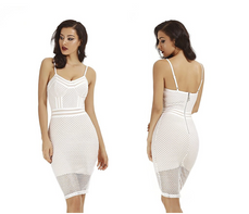 The White Mesh Dress