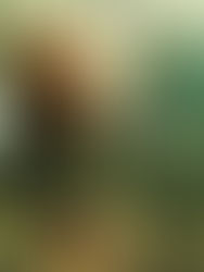 Sport & cinema : Des montagnes à la mer, la liberté retrouvée de Bruce Dern