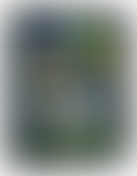 Sortie du livre "Champions, les Bleus sur le toit du monde": 3 questions à Lucie Bacon