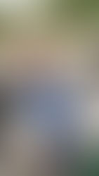 Entretien avec Patrick Bédier, co-fondateur du Grand Prix Littéraire du Golf