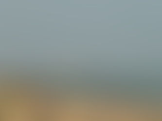 A seaside world of murder and mayhem inhabited by ghosts cats? Sounds good to me