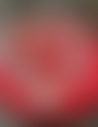 Chocolate Vegan Freedom Balls