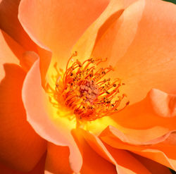 DSC_0053 - Edited