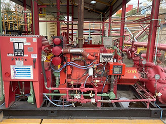 WhatsApp Image 2024-05-25 at 12.56.06 PM.jpeg