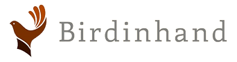LOGO V2_edited.png