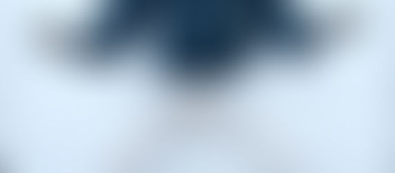 Otto 958: The story of an art world darling