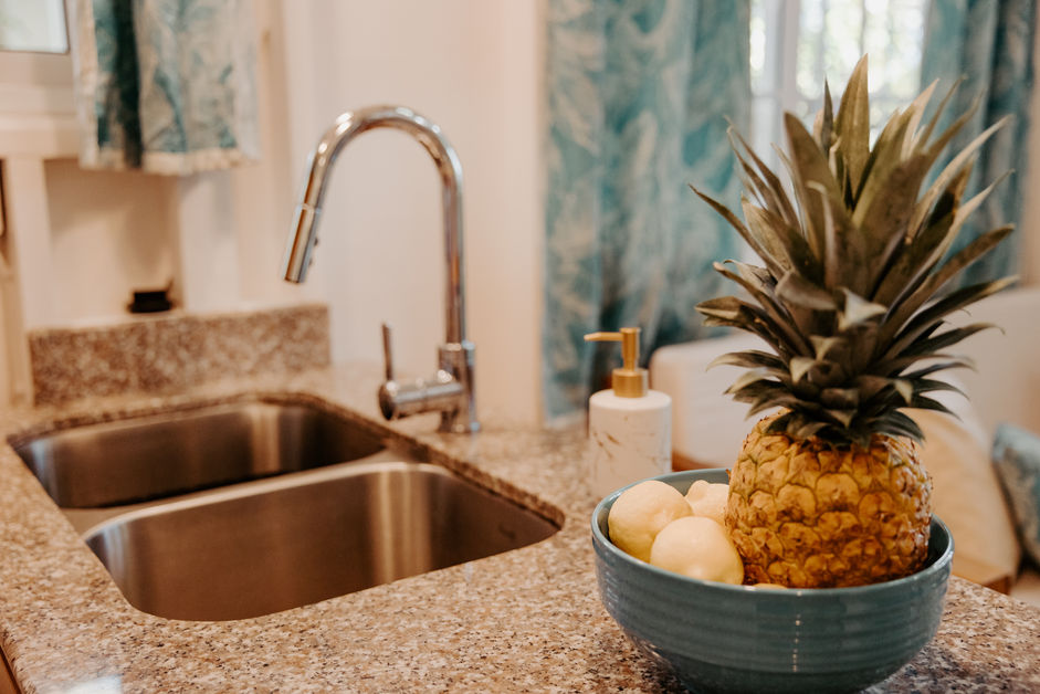 CoconutTree Bungalow