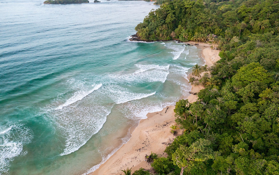This tropical paradise, veiled by lush greenery and swaying palms, invites wanderers to a