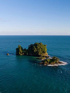 Bird island, Bocas del toro