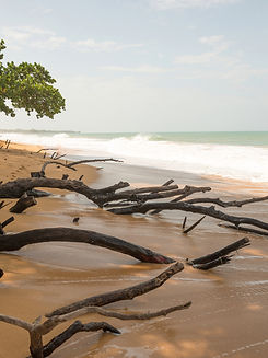 Mimitimbi, Bocas del Toro