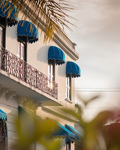 Bocas town