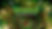 Join the Best Online Casino - Esports Betting MU33