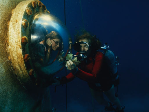 Hey, 2020 grads! Nat Geo Explorer-in-Residence Dr. Sylvia Earle has a message just for you!