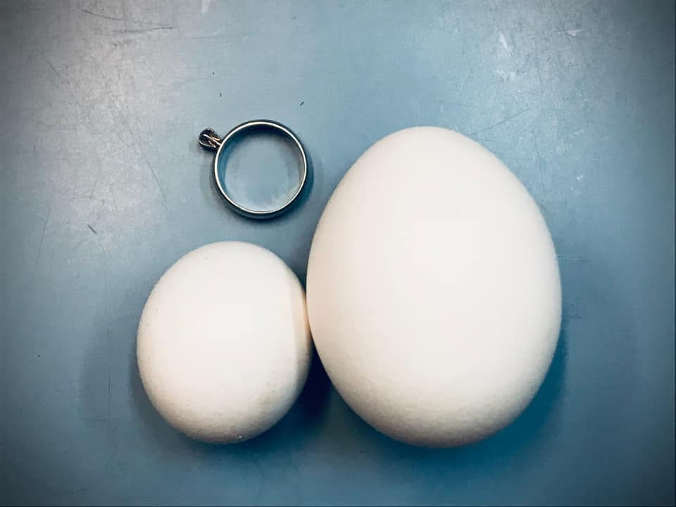 Eggs vary in size which is important when using in recipes.