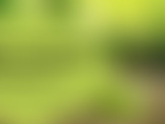 Self-actualization: The woman and all she was created to be