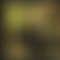 Prince: 0(+> "The Greatest Romance Ever Sold Single" US (1999)