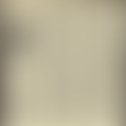 David Bowie: "Brilliant Bowie Earl’s Court Concert Review" Concert Review (1978)