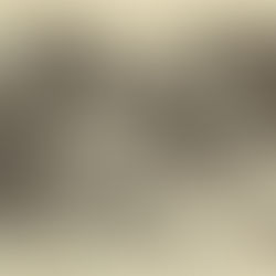 David Bowie: "David Bowie & Iggy Pop's Birthday" Article (1976)