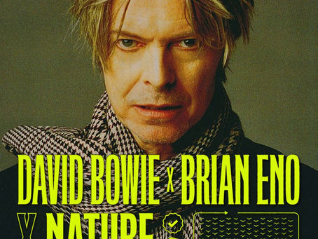 ENO x NATURE Digital Single: 2024