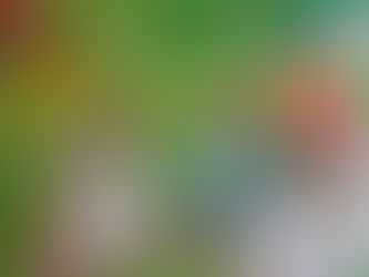 Annie Haslam & Roy Wood: I Never Believed In Love Single (1977)