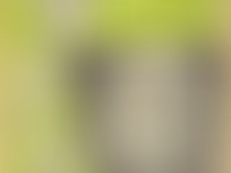 Slade: Dave Hill Disco 45 Cover (1972)