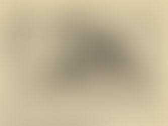 Roxy Music: "Ferry Interesting Roxy" Article (1972)