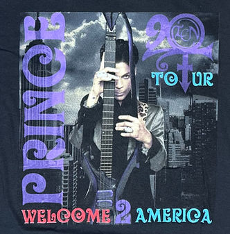 Welcome 2 America Tour: 2010