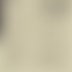 David Bowie: "I Wanted to Be the Rock Tony Newley" Article (1979)