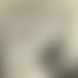 David Bowie: "Are Polls Worth It?" Article (1977)  