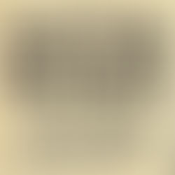 David Bowie: "Rainbow Extra Show" Article (1972)