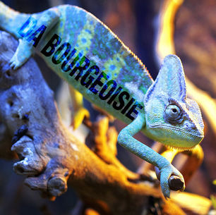 Da Bourgeoisie Single: 2013