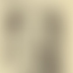 David Bowie: "Shop Here" Scrapbook Feature (1977)