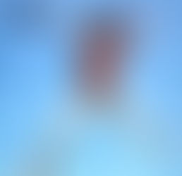 A UK Warner Bros. Records 7-inch vinyl label for Les Gray’s 1977 single “What Do You Want To Make Those Eyes At Me For,” showing catalogue number K 17007, track titles, and production credits.