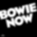 Bowie Now Album 1-LP: 2018
