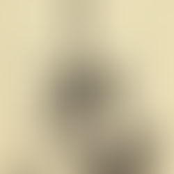 The Phloiscent Leech & Eddie