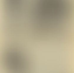 David Essex: "His Fans & Life" Article (1975)