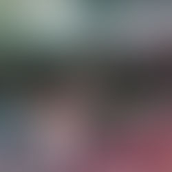 Concert‑themed cover art for The Best Of Rock And Roll Hall Of Fame + Museum Live, featuring a crowd with raised hands and the Rock Hall logo.