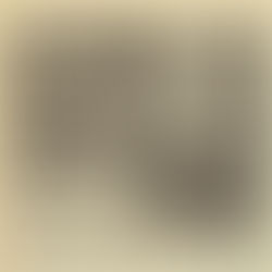 Mott Gig Ends in Chaos Feature : 1973